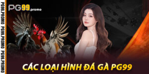 Các loại hình Đá Gà Pg99